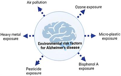 Alzheimer’s disease: the role of extrinsic factors in its development, an investigation of the environmental enigma